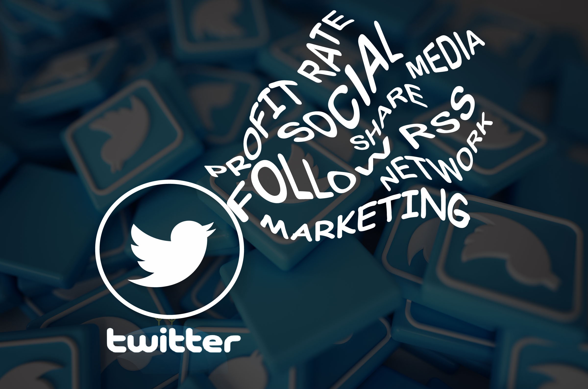 Re Ignite Your Business With Twitter Marketing   RK Online Marketers